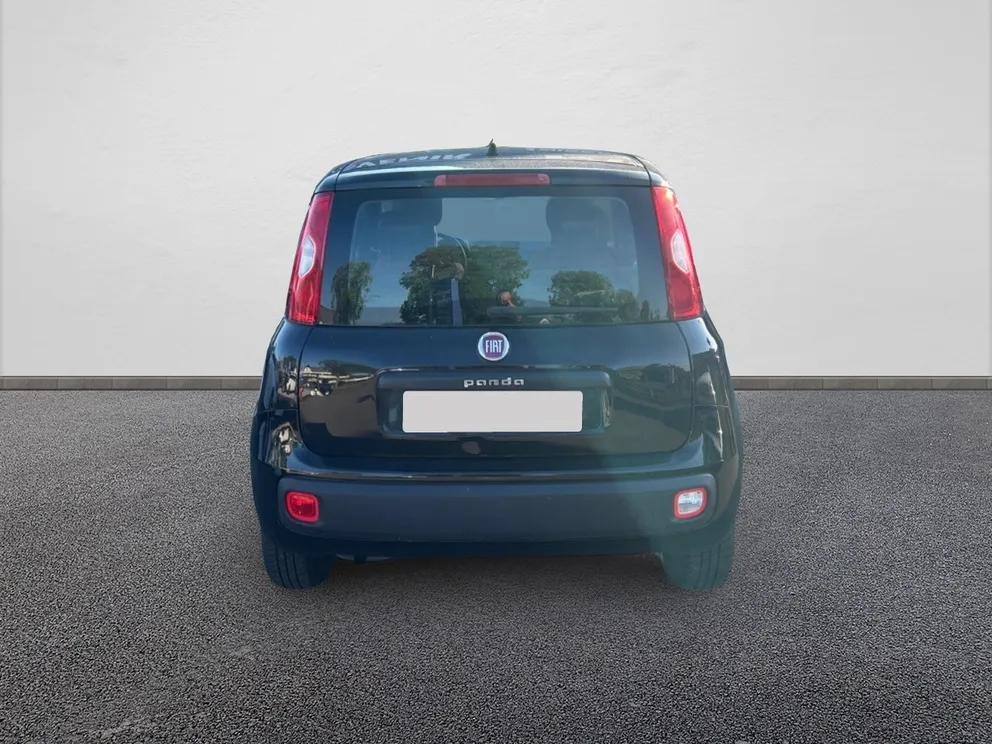 Véhicule occasion 1233294 - fiat PANDA - Photo 3