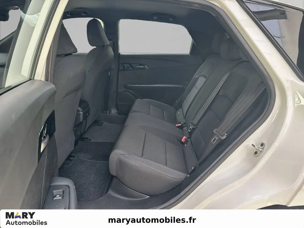 Véhicule occasion 209694 - mg MG4 - Photo 10