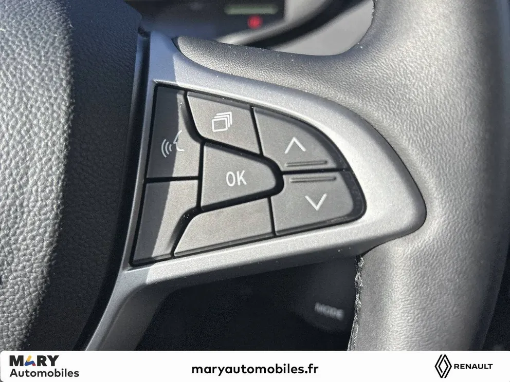 Véhicule occasion 207135 - dacia JOGGER - Photo 17