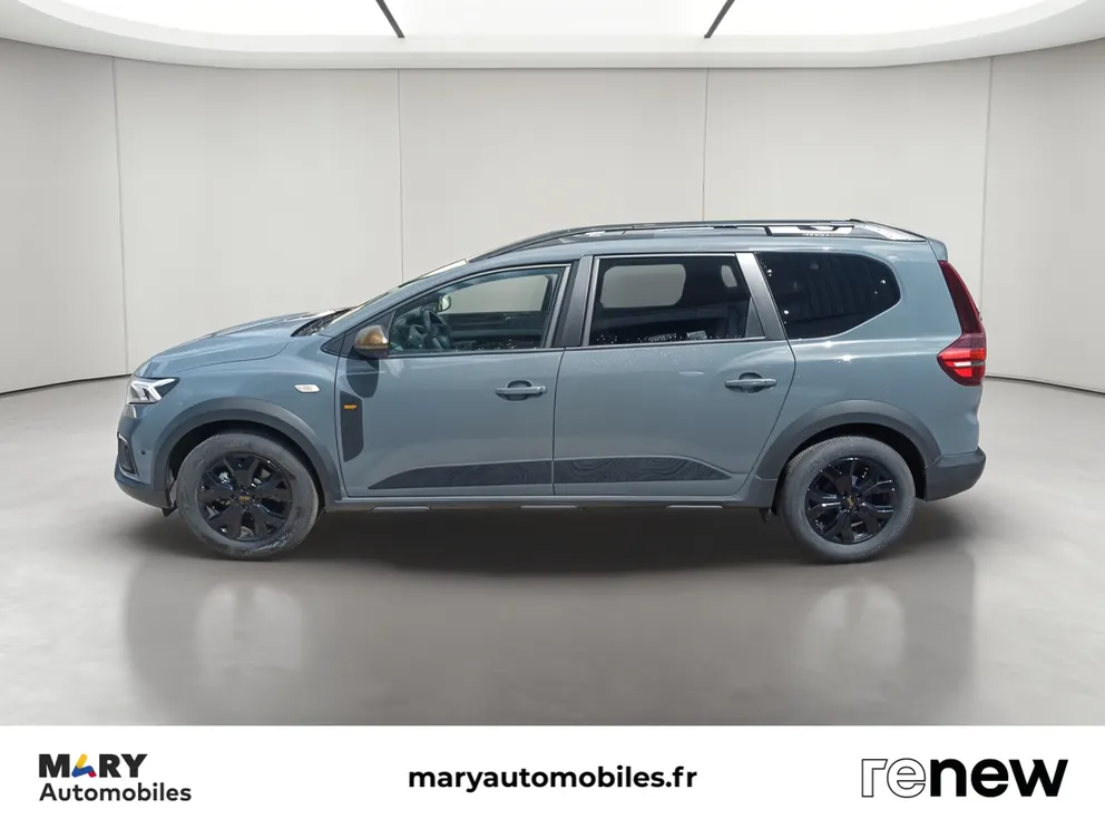 Véhicule occasion 239107 - dacia JOGGER - Photo 2