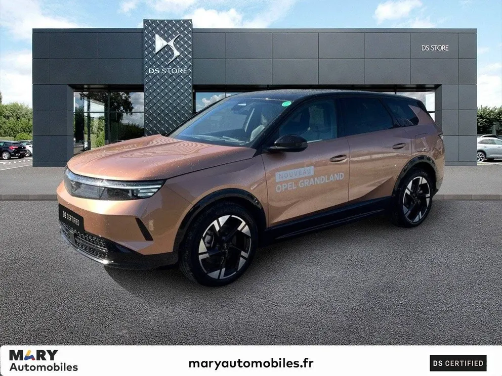 Véhicule occasion 166522 - opel GRANDLAND - Photo 1