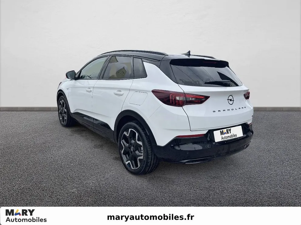 Véhicule occasion 219240 - opel GRANDLAND - Photo 7