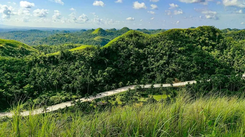 Un beau paysage bucolique et verdoyant