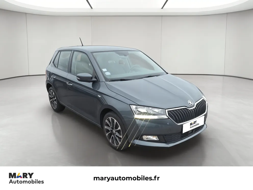 Véhicule occasion 1243900 - skoda FABIA - Photo 1