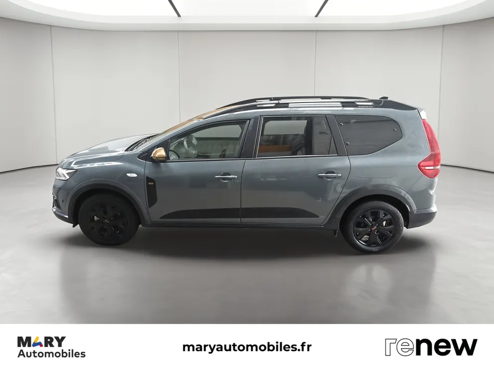 Véhicule occasion 239108 - dacia JOGGER - Photo 2