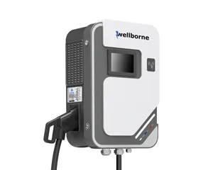 Borne de recharge DC**
