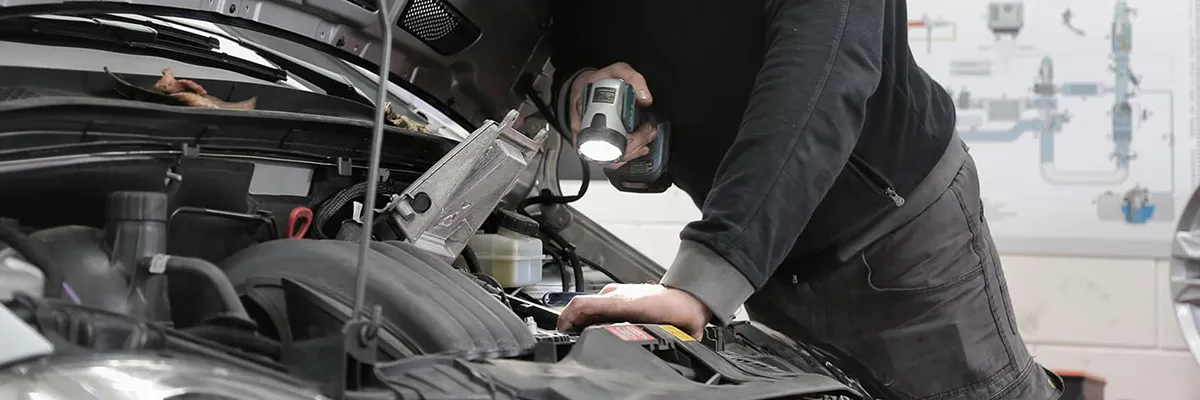changement courroie de distribution mary automobiles