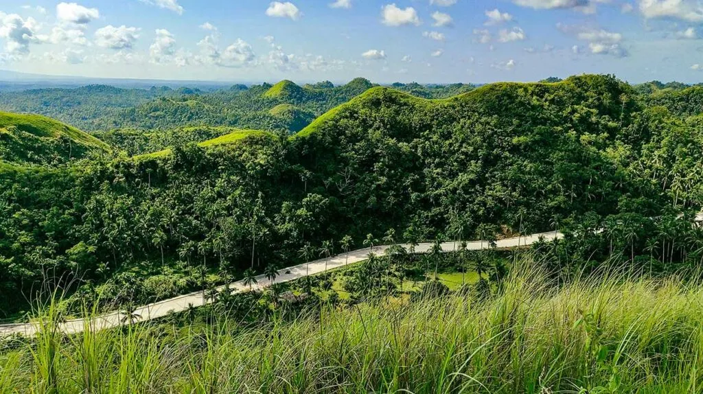 Un beau paysage bucolique et verdoyant