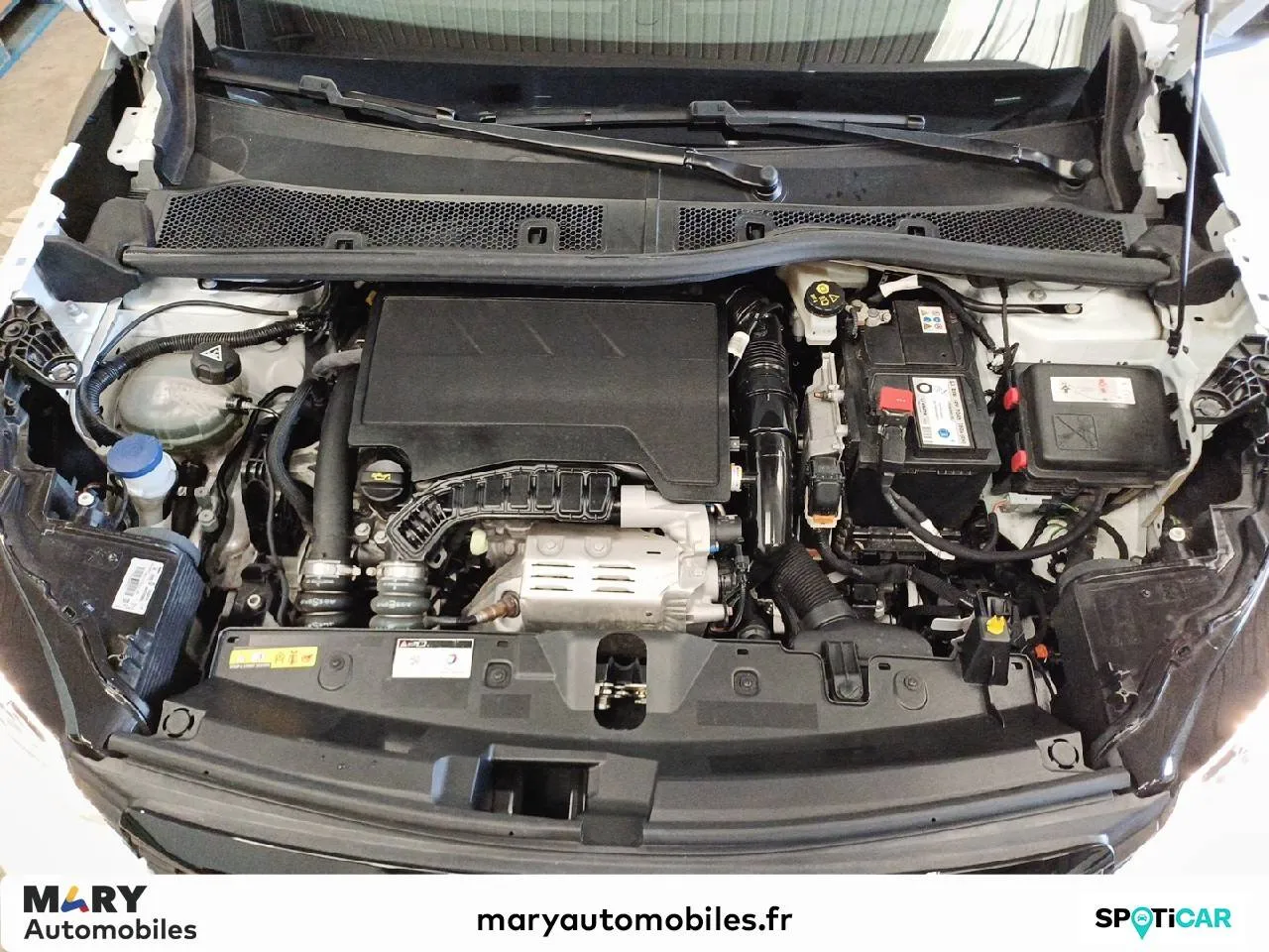 image du véhicule
