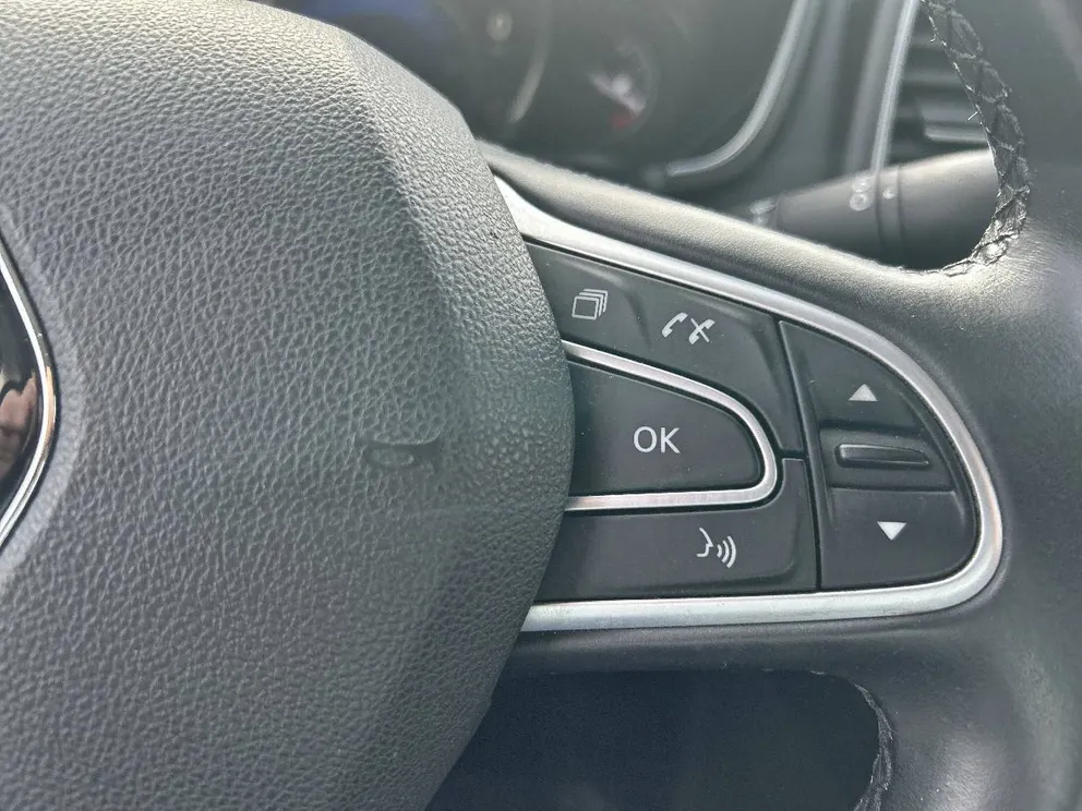 Véhicule occasion 226000 - renault TALISMAN - Photo 14