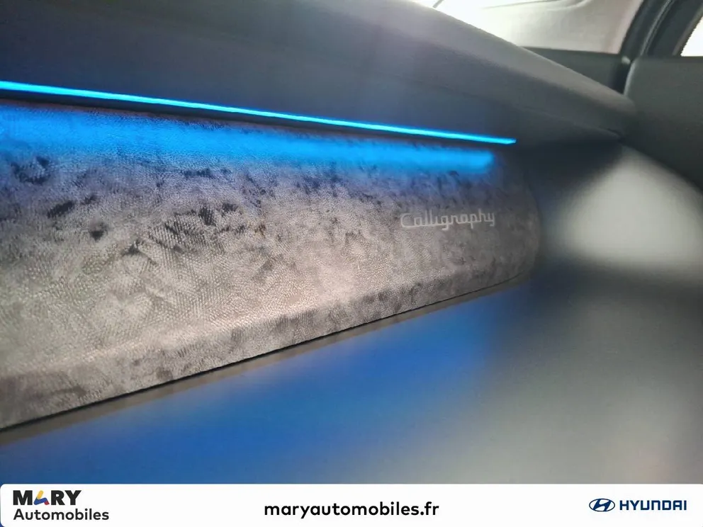 Véhicule occasion 194363 - hyundai IONIQ 9 - Photo 22