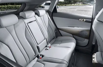 Hyundai Naxo sièges intérieur