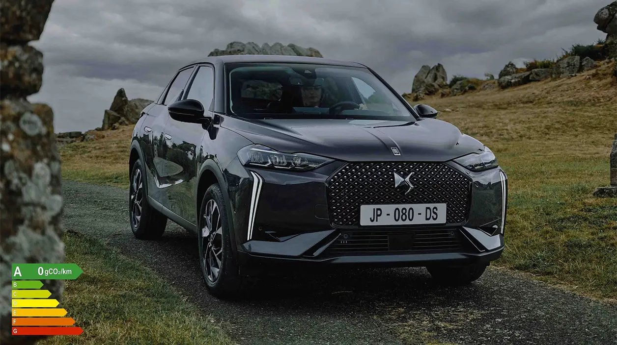 DS 3