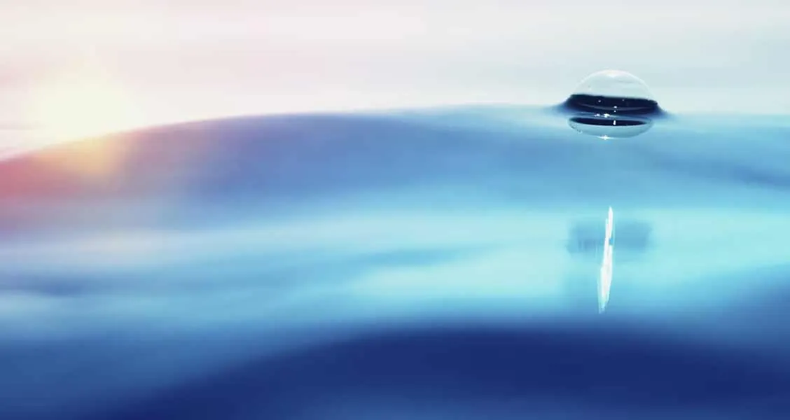 illustration offre Offre Bilan été - Réseau Peugeot