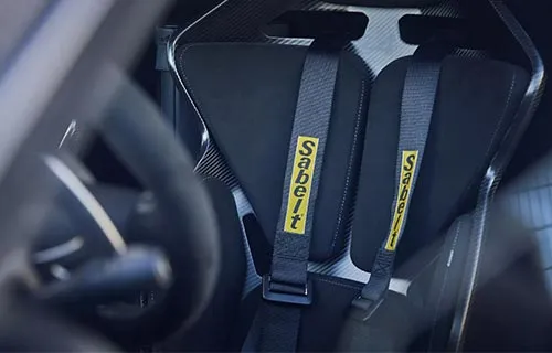 Sellerie Alpine A110 R